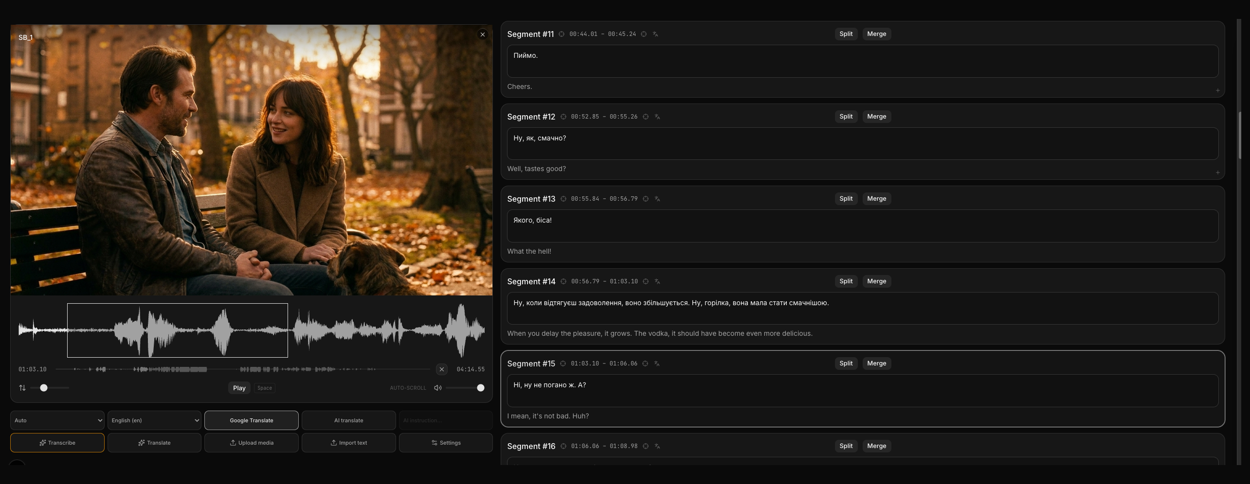 Transcribe & translate
